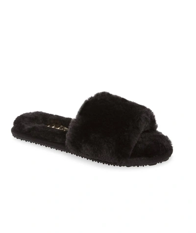 Shop Billini Emmet Slipper In Black Fur In Multi