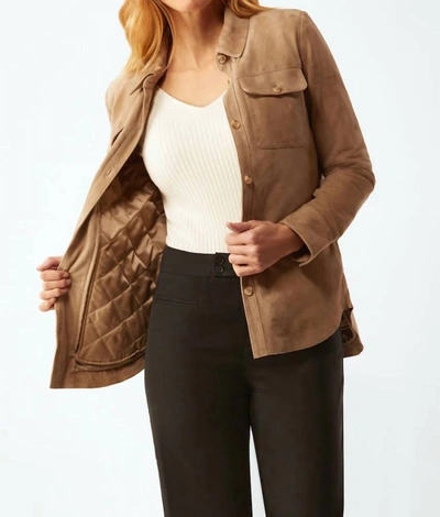 Shop Ecru Suede Shirt Jacket In Camel In Brown