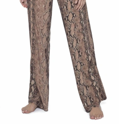 Shop Pq Swim Lounge Pants In Kaa In Multi