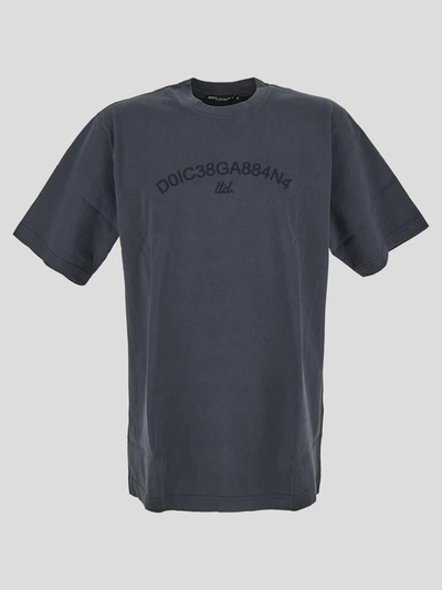 Shop Dolce & Gabbana T-shirts And Polos In Grey