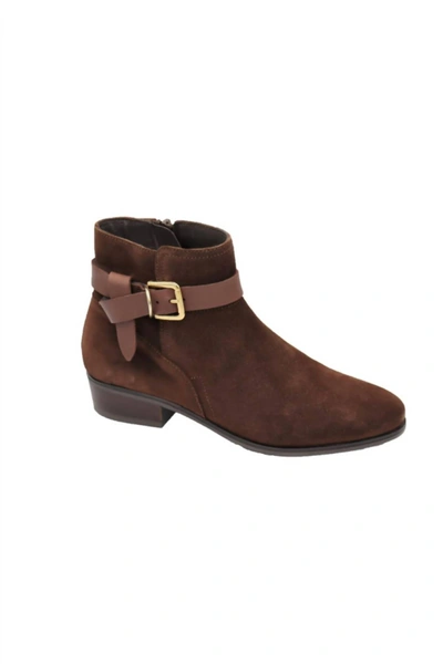 Shop Eric Michael Petra In Brown