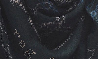 Rag & Bone Pea Chain Scarf In Black