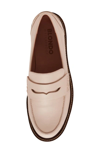 Shop Blondo Waterproof Penny Loafer In Bone Leather