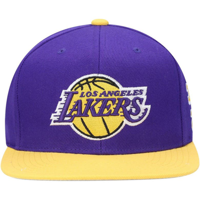 Shop Mitchell & Ness Purple Los Angeles Lakers Area Code Snapback Hat