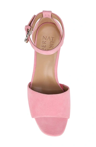 Shop Naturalizer Pearlyn Ankle Strap Platform Sandal In Flamingo Pink Suede
