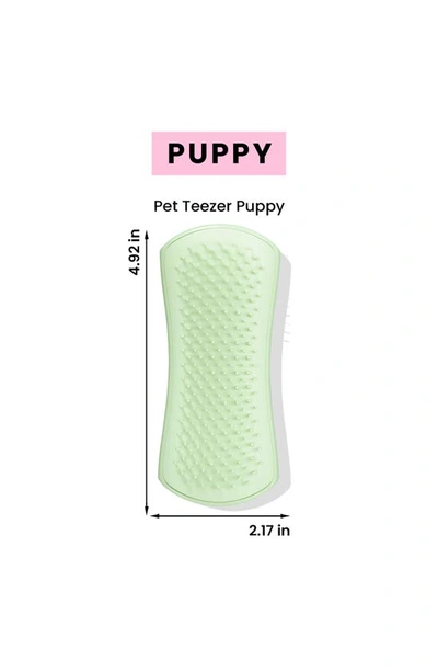 Shop Tangle Teezer Puppy Grooming Dog Brush In Mint