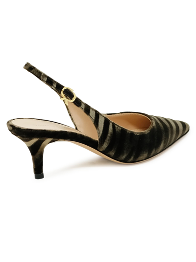 Gianvito Rossi Mink Zebra Print Velvet Pumps In Brown