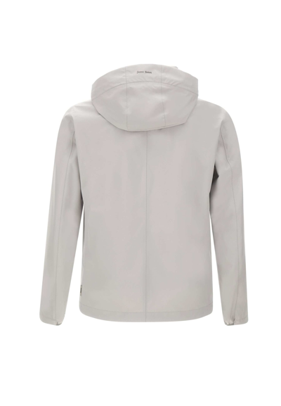 Shop Herno Jacket In Grey