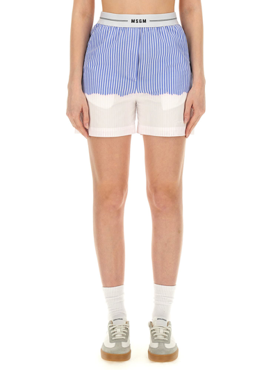 Shop Msgm Shorts With Logo Band In Celeste