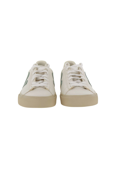 Shop Veja Campo Chromefree Sneakers In White-green