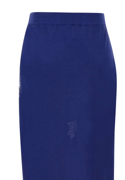 Shop Etro Skirt In Blue
