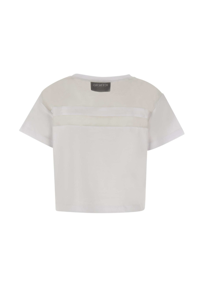 Shop Iceberg Cotton Jersey T-shirt In White