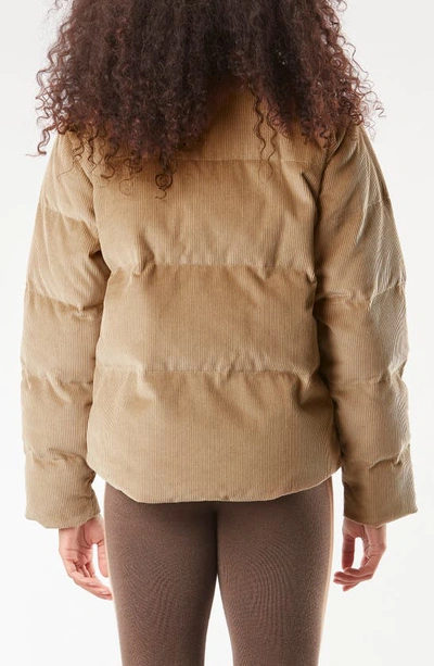 Shop Picture Organic Clothing Nury Organic Cotton Corduroy Puffer Jacket In Dark Stone
