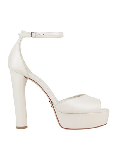 Shop Sergio Levantesi Woman Sandals White Size 10 Soft Leather