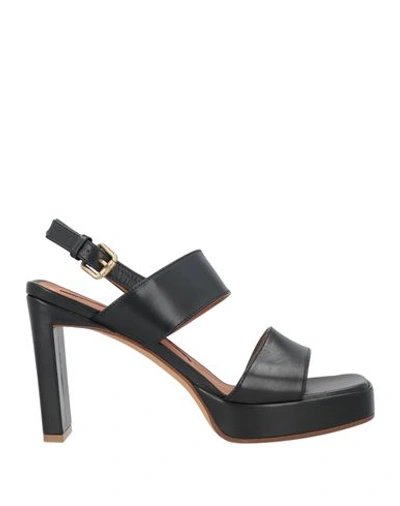 Shop Roberto Festa Woman Sandals Black Size 10 Soft Leather