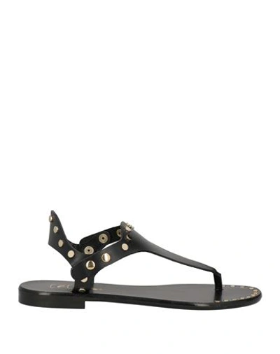 Shop Cécile Woman Thong Sandal Black Size 8 Cowhide