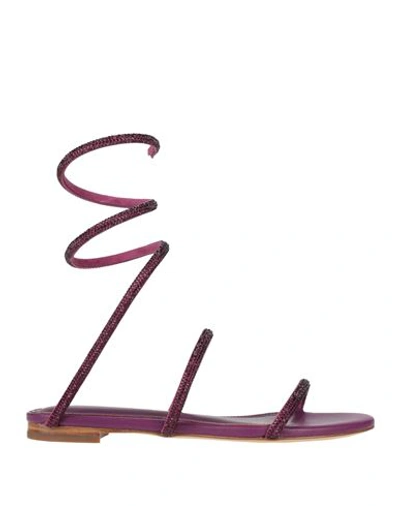 Shop Lola Cruz Woman Sandals Purple Size 10 Leather