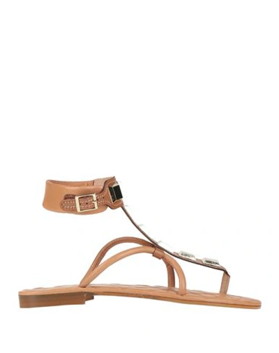 Shop Via Delle Ville Woman Thong Sandal Tan Size 8 Leather In Brown