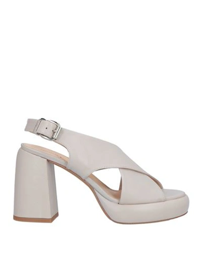 Shop Laura Bellariva Woman Sandals Light Grey Size 10 Leather