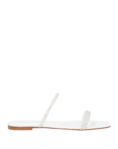 Gianvito Rossi Woman Sandals White Size 8 Leather In White