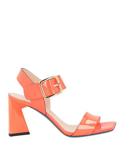 Shop Loriblu Woman Sandals Orange Size 7 Leather