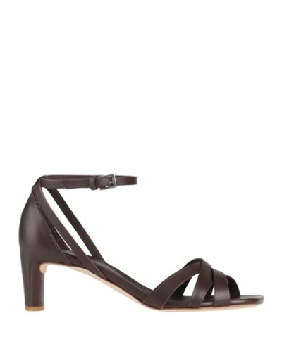 Shop Del Carlo Woman Sandals Dark Brown Size 7.5 Leather