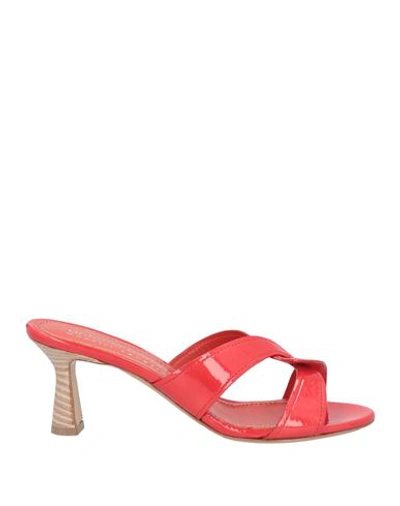 Shop Antonio Barbato Woman Sandals Red Size 8 Leather