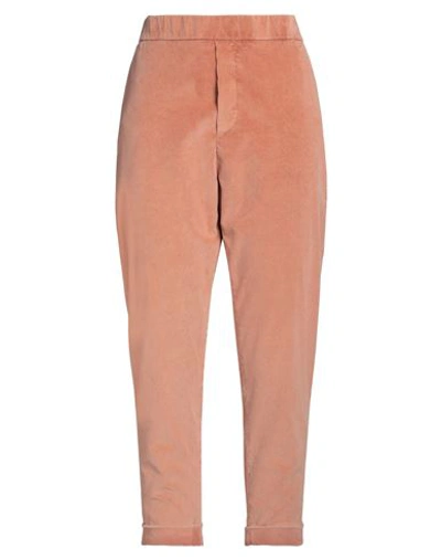 Shop Mason's Woman Pants Salmon Pink Size 10 Cotton, Pes - Polyethersulfone, Elastane
