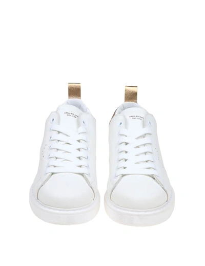 Shop Ama Brand Leather Sneakers In White/gold