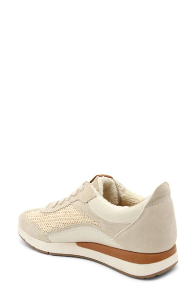 Shop Gentle Souls By Kenneth Cole Juno Sneaker In Stone Leather