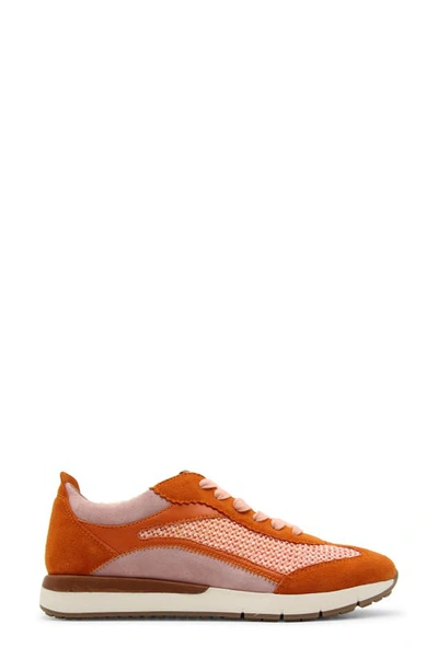 Shop Gentle Souls By Kenneth Cole Juno Sneaker In Orange Multi Mesh