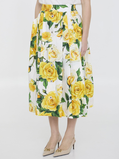 Shop Dolce & Gabbana Rose-print Skirt In White