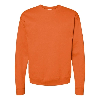 Hanes Ecosmart Crewneck Sweatshirt In Multi