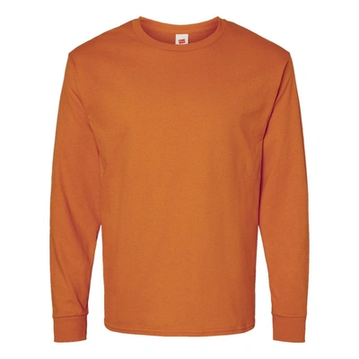 Hanes Essential-t Long Sleeve T-shirt In Multi
