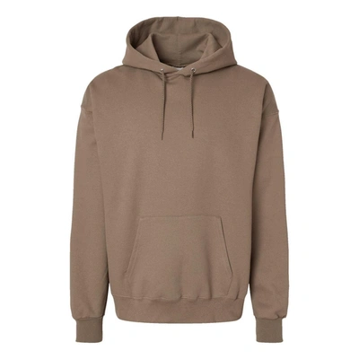 Hanes Ultimate Cotton Hooded Sweatshirt In Grey