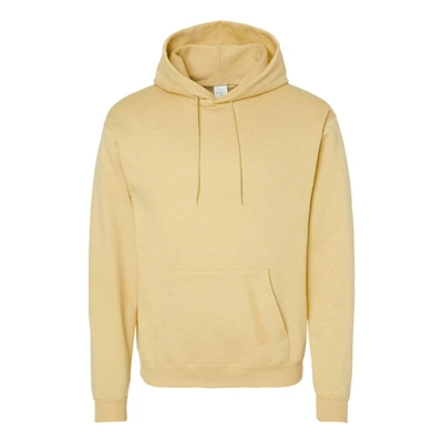Hanes Ecosmart Hooded Sweatshirt In Multi