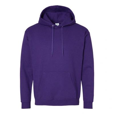 Shop Hanes Ecosmart Hooded Sweatshirt In Multi