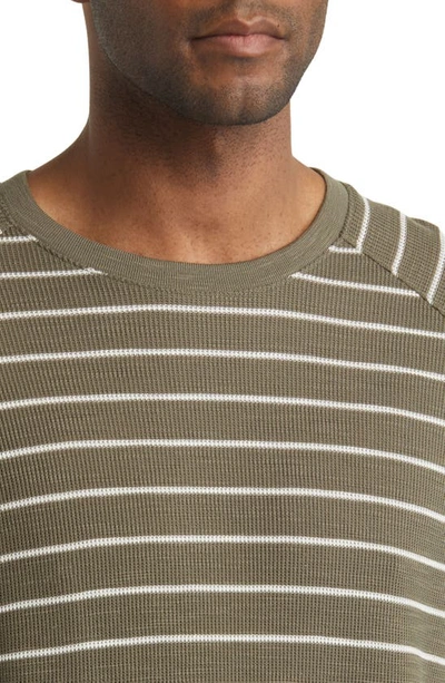 Shop Vince Stripe Waffle Raglan Sleeve Pima Cotton T-shirt In Sycamore/ Bone