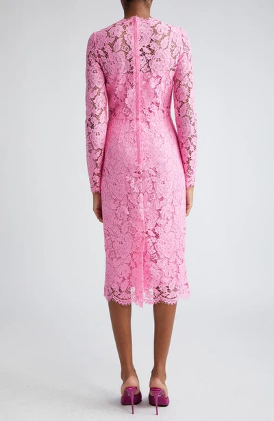 Shop Dolce & Gabbana Dolce&gabbana Long Sleeve Cordonetto Lace Sheath Dress In Rosa