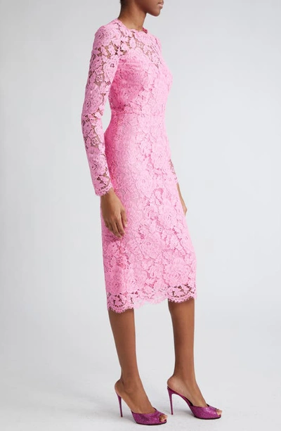 Shop Dolce & Gabbana Dolce&gabbana Long Sleeve Cordonetto Lace Sheath Dress In Rosa