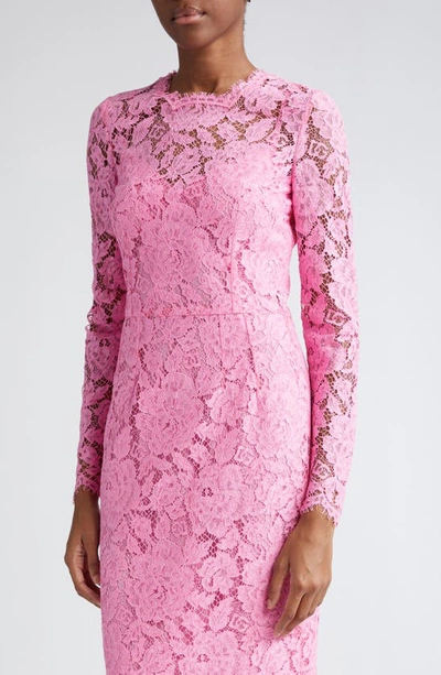 Shop Dolce & Gabbana Dolce&gabbana Long Sleeve Cordonetto Lace Sheath Dress In Rosa