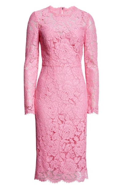 Shop Dolce & Gabbana Dolce&gabbana Long Sleeve Cordonetto Lace Sheath Dress In Rosa