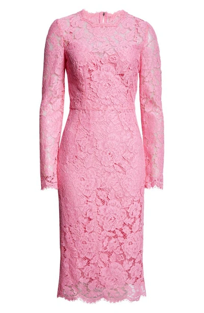 Shop Dolce & Gabbana Long Sleeve Cordonetto Lace Sheath Dress In Rosa