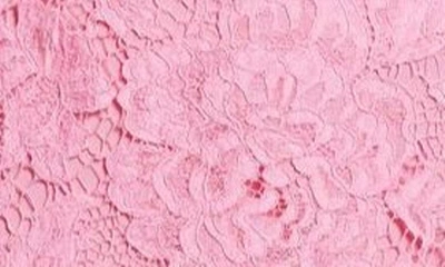 Dolce & Gabbana Midi Dress In Floral Cordonnet Lace In Rosa