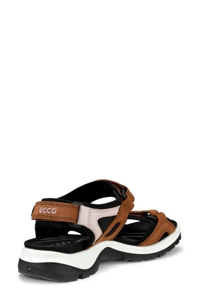 Shop Ecco Yucatan Sandal In Mink