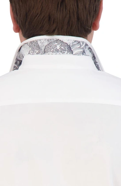 Shop Robert Graham Classic Fit Solid Cotton Button-up Shirt In White