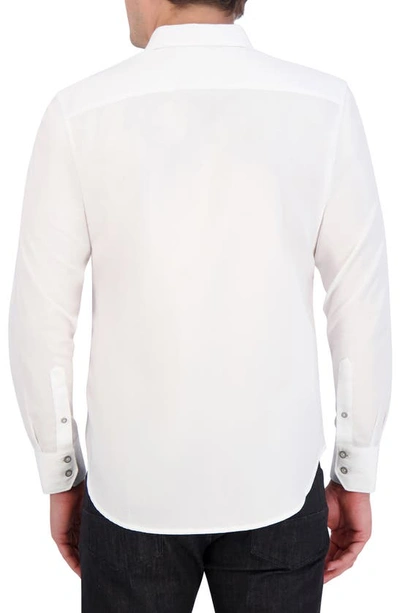 Shop Robert Graham Classic Fit Solid Cotton Button-up Shirt In White