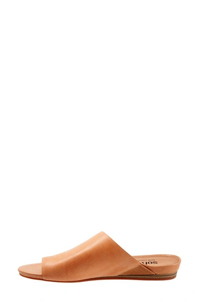 Softwalk Corsica Slide Sandal In Beige Leather