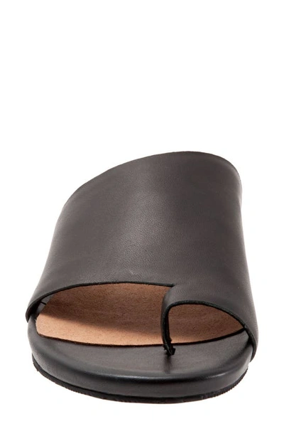 Softwalk Corsica Slide Sandal In Black Leather
