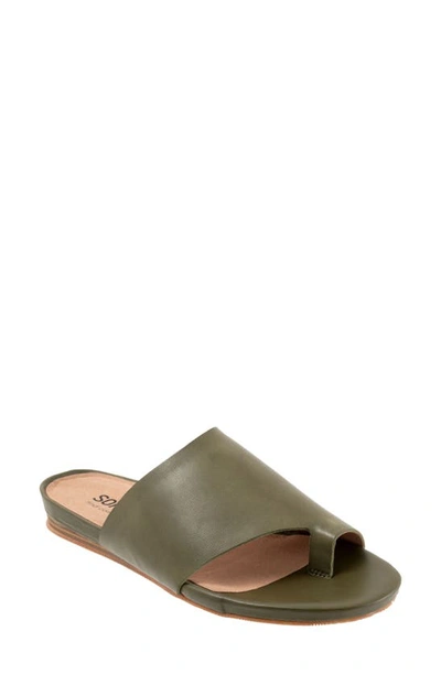 Shop Softwalk ® Corsica Slide Sandal In Dark Olive